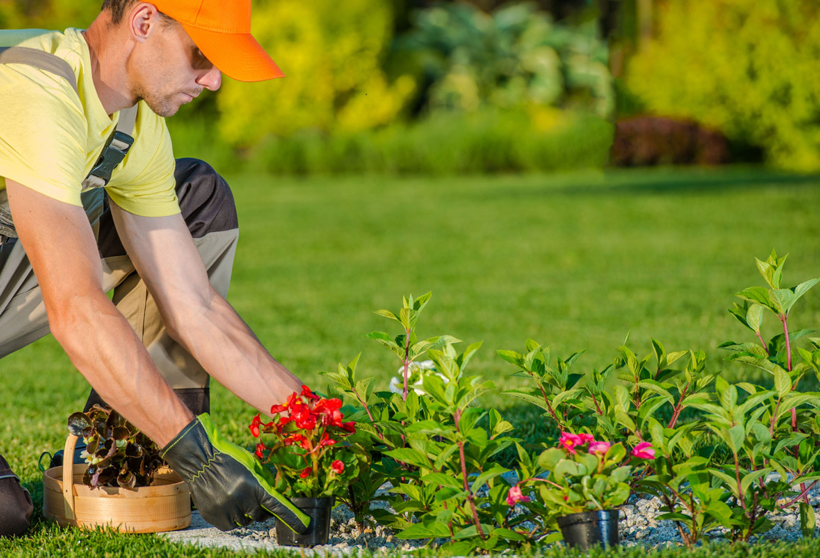 What is landscape upkeep and what are its advantages?