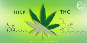 How is THCP Different from Other Cannabinoids?