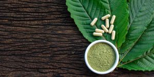 The Effect of Red Malay Kratom on Long-Term Memory