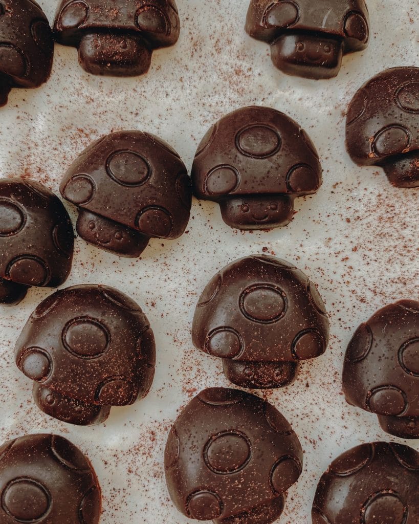 how to make mushroom chocolate bars