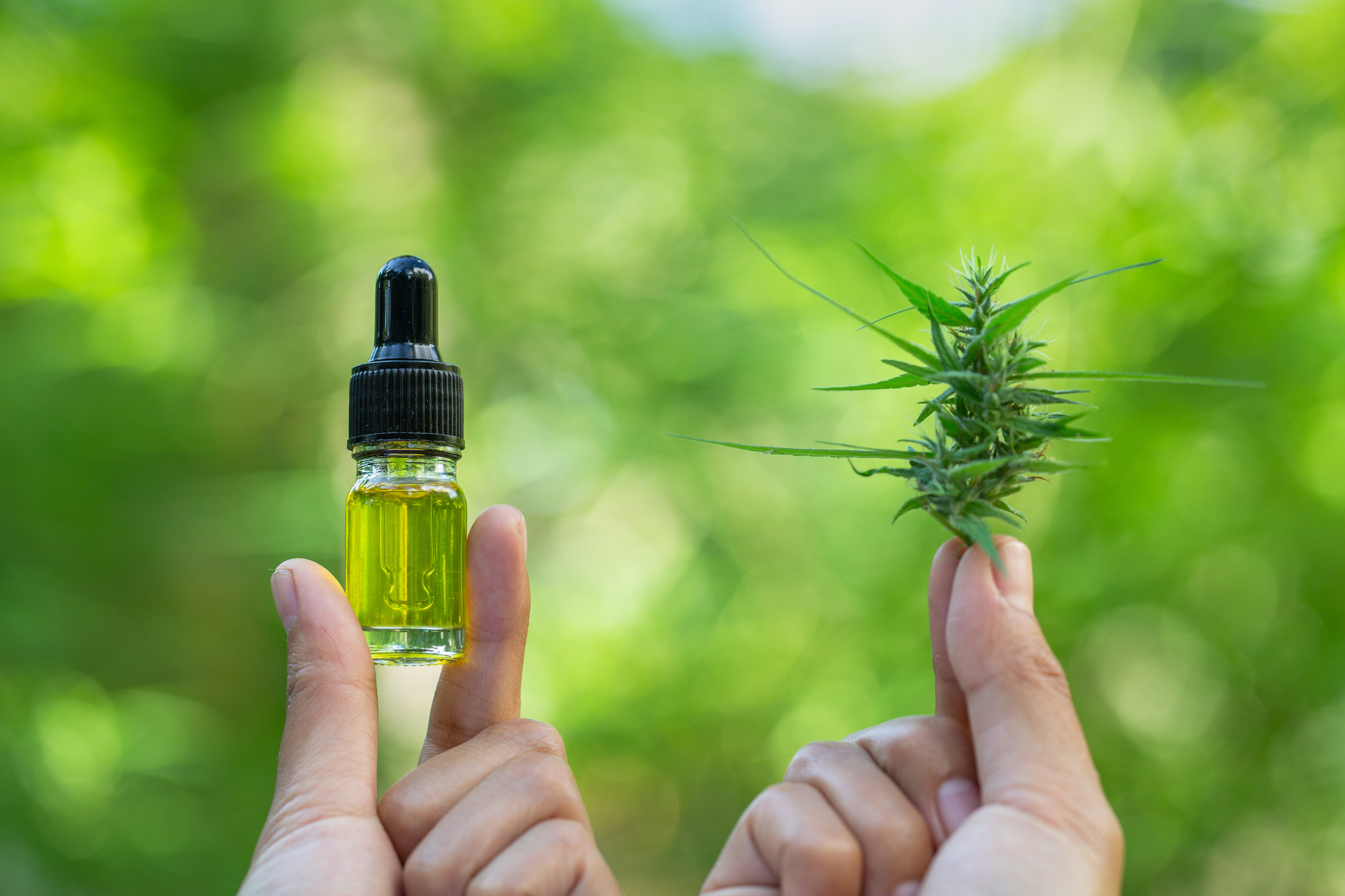 Affordable CBD Demystified: What You Need to Know Before You Try